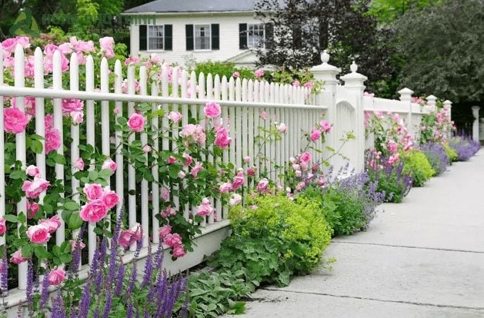 Mẫu hàng rào cho nhà vườn, biệt thự đẹp (mẫu 6)